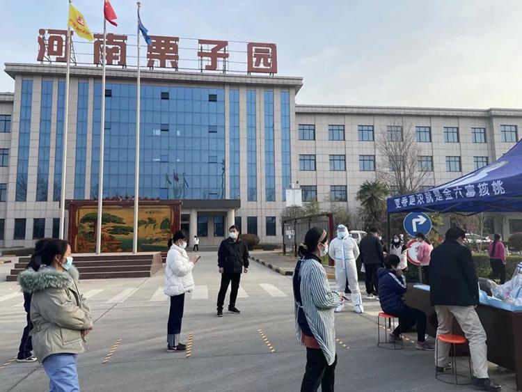 不怕不识货,就怕货比货。疫情防控常态化,栗子园为什么能做到一骑尘凡? 不怕不识货,就怕货比货。疫情防控常态化,栗子园为什么能做到一骑尘凡?